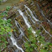 Посмотреть крупнее