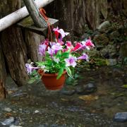 Посмотреть крупнее